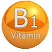 Thiamine (Vitamin B1) ingredient in Sciaticyl for nerve regeneration and signal transmission.
