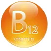 Vitamin B12 for myelin sheath protection and nerve repair in Sciaticyl formula.