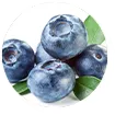 Blueberry extract rich in antioxidants to heal injured nerves and combat oxidative stress.