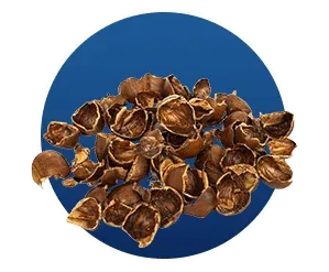 Health benefit icon for Finessa focusing on improved energy levels and metabolism.