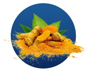 Nutrient icon for Finessa's liver detoxification and cellular health support.