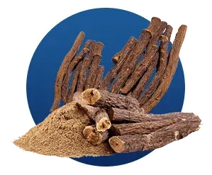 Wellness icon depicting the overall health transformation with Finessa supplement.