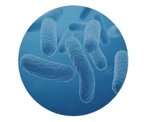 Icon representing a natural ingredient in the Finessa formula for metabolic boost.